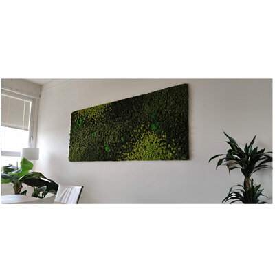 Mooswand oder Moosbild pflege: Worauf ist zu achten?