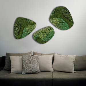 Moosdots-Set Moosbild Zanna