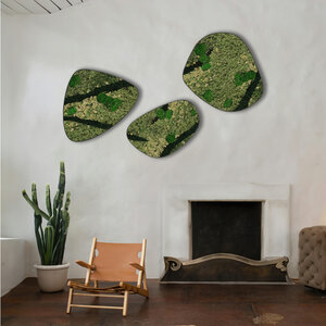 Moosdots-Set Moosbild Contraria