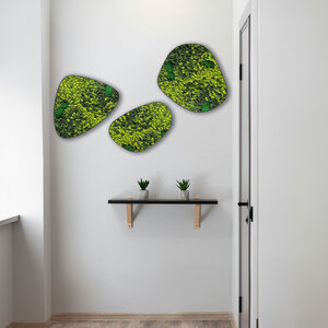 Moosdots-Set Moosbild Varius