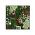 Moswens Quadratisches Moosbild Colius