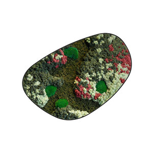 Moosdots Cuatro Moosbild Colius