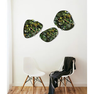 Moosdots-Set Moosbild Java im Dschungel-Stil
