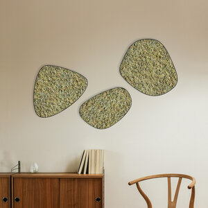 Moosdots-Set Moosbild Vetus
