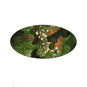 Ovales Moosbild Avalon im Blumen Stil