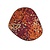 Moswens Moosdots Cinco Moosbild Autana