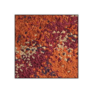 Quadratisches Moosbild Autana