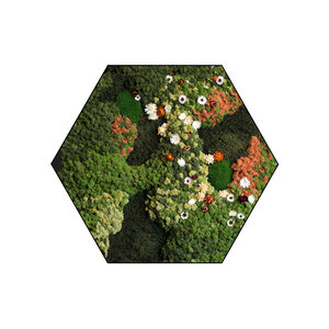 Sechseckiges Moosbild  Avalon im Blumen-Stil