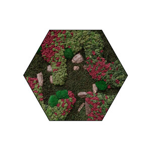 Sechseckiges Moosbild Ruby