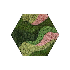 Sechseckiges Moosbild Pixi