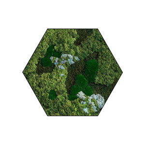 Sechseckiges Moosbild Skye