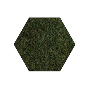 Sechseckiges Moosbild Plana Tenebris