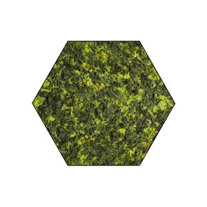 Sechseckiges Moosbild ECO Mix