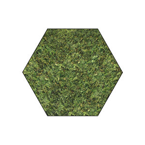 Sechseckiges Moosbild ECO Dimidium