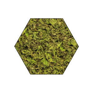 Sechseckiges Moosbild ECO Apricis