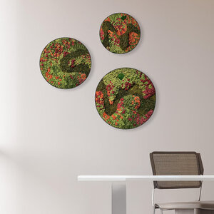 Rundes Moosbild Set Renovita