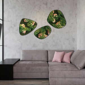 Moosdots-Set Moosbild Milly
