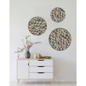 Echinops Zirkel set inkl. Stahlrand