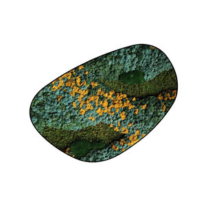 Moosdots Cuatro Moosbild Cascata