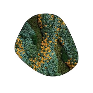 Moosdots Cinco Moosbild Cascata