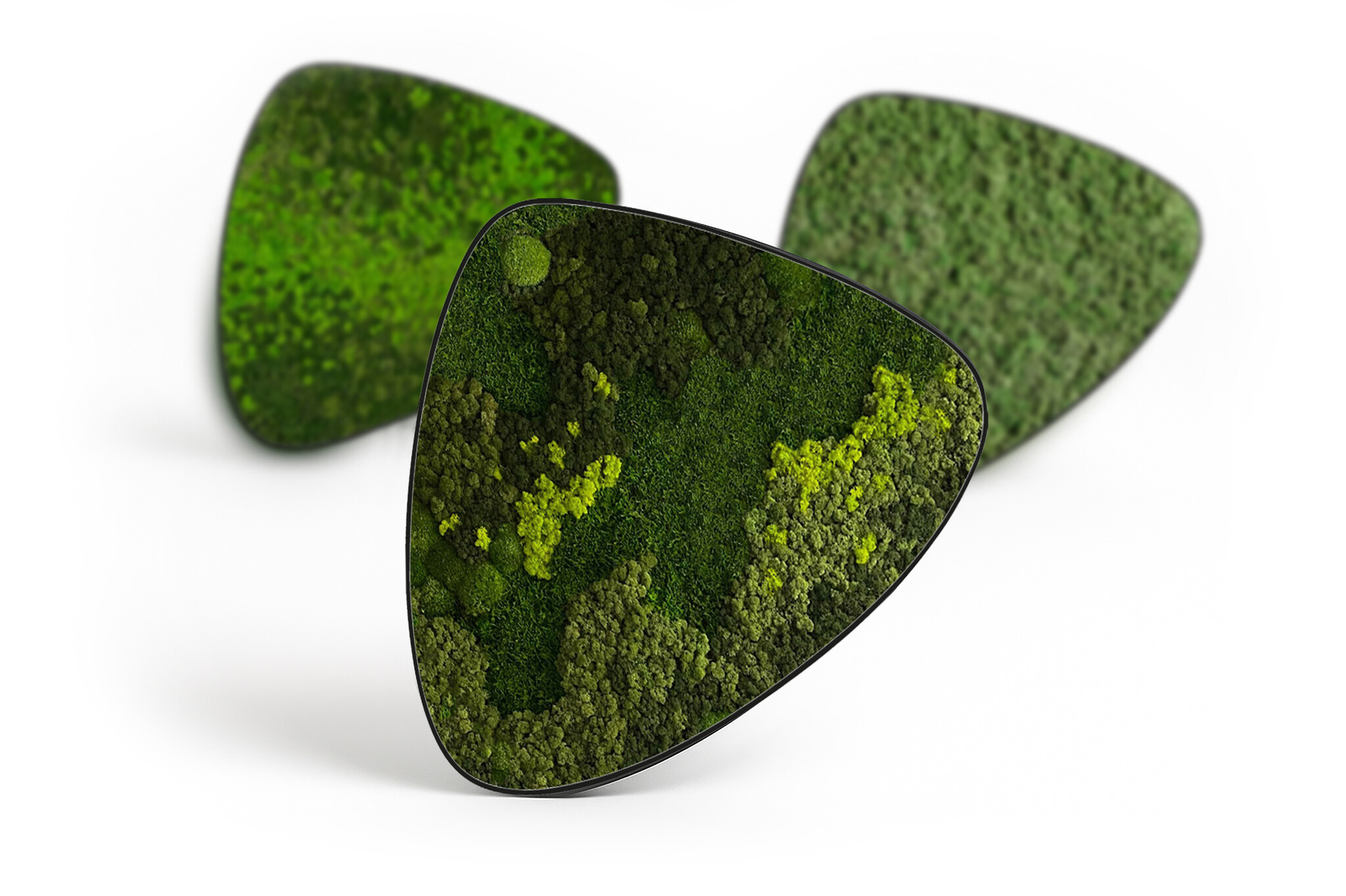 Moosdots Tres Moosbild