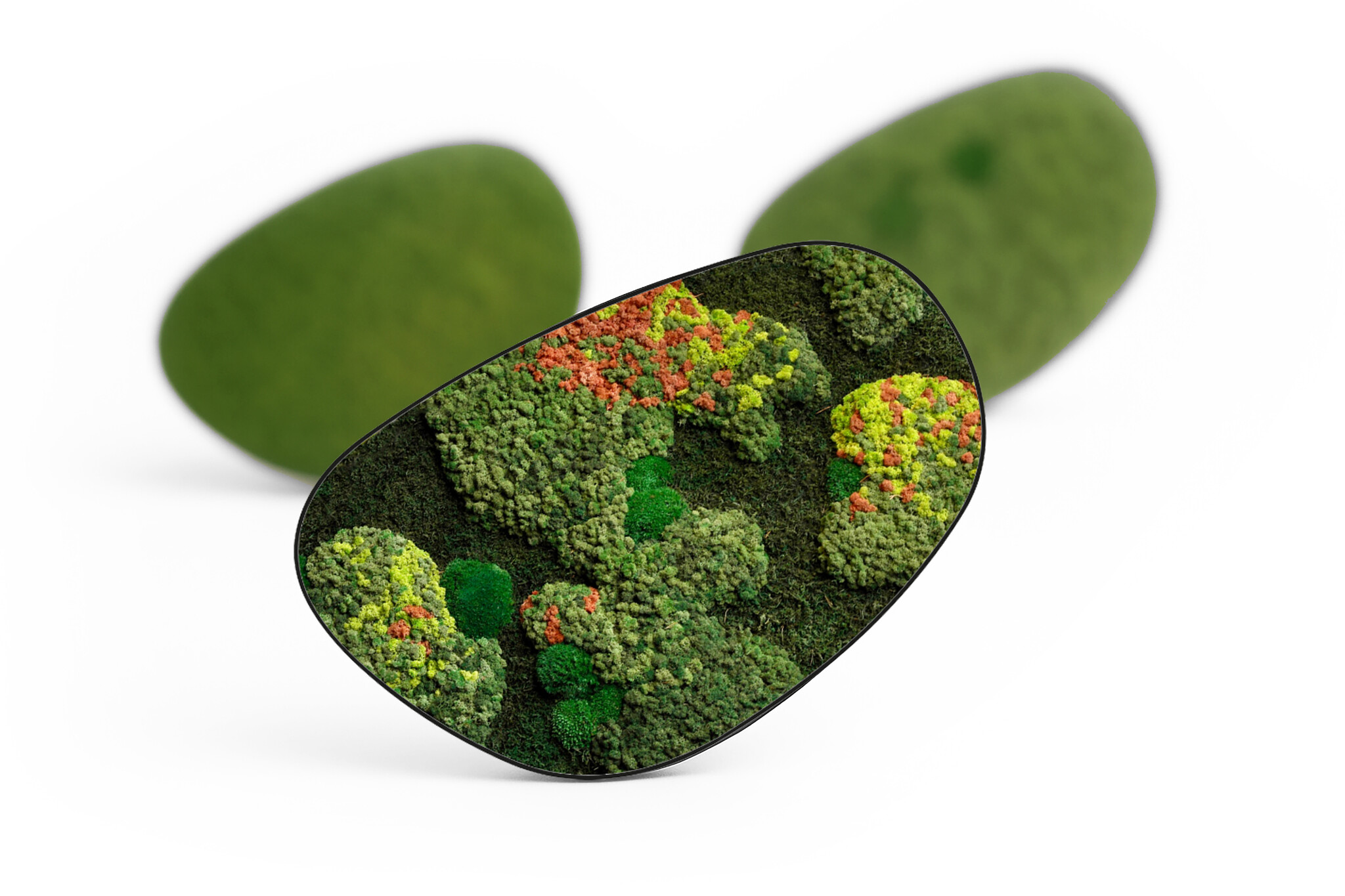 Moosdots Cuatro Moosbild