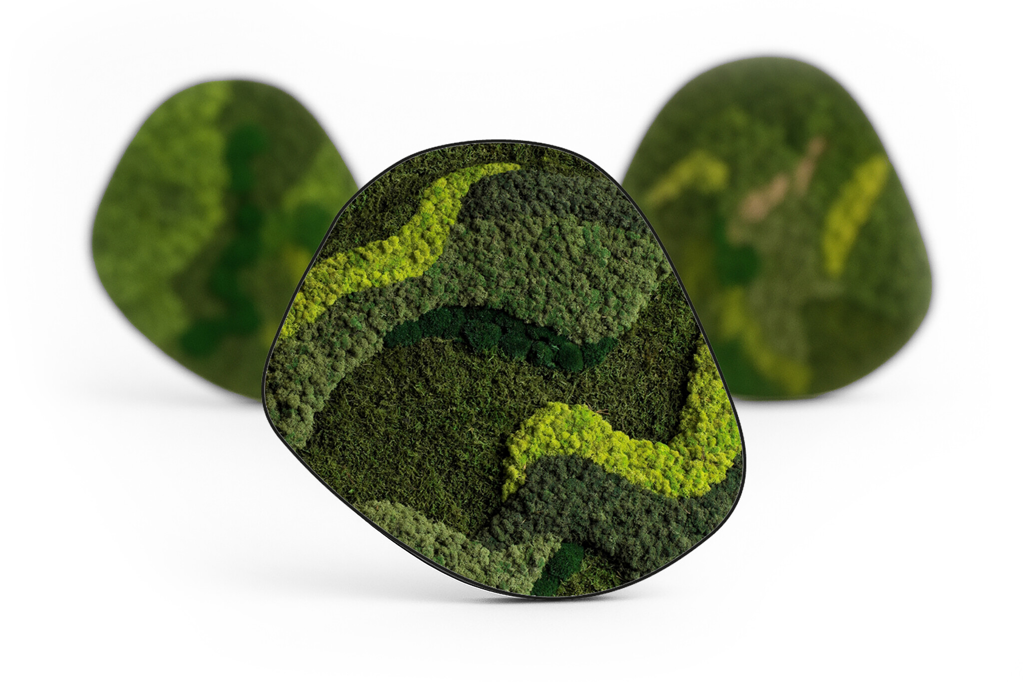 Moosdots Cinco Moosbild