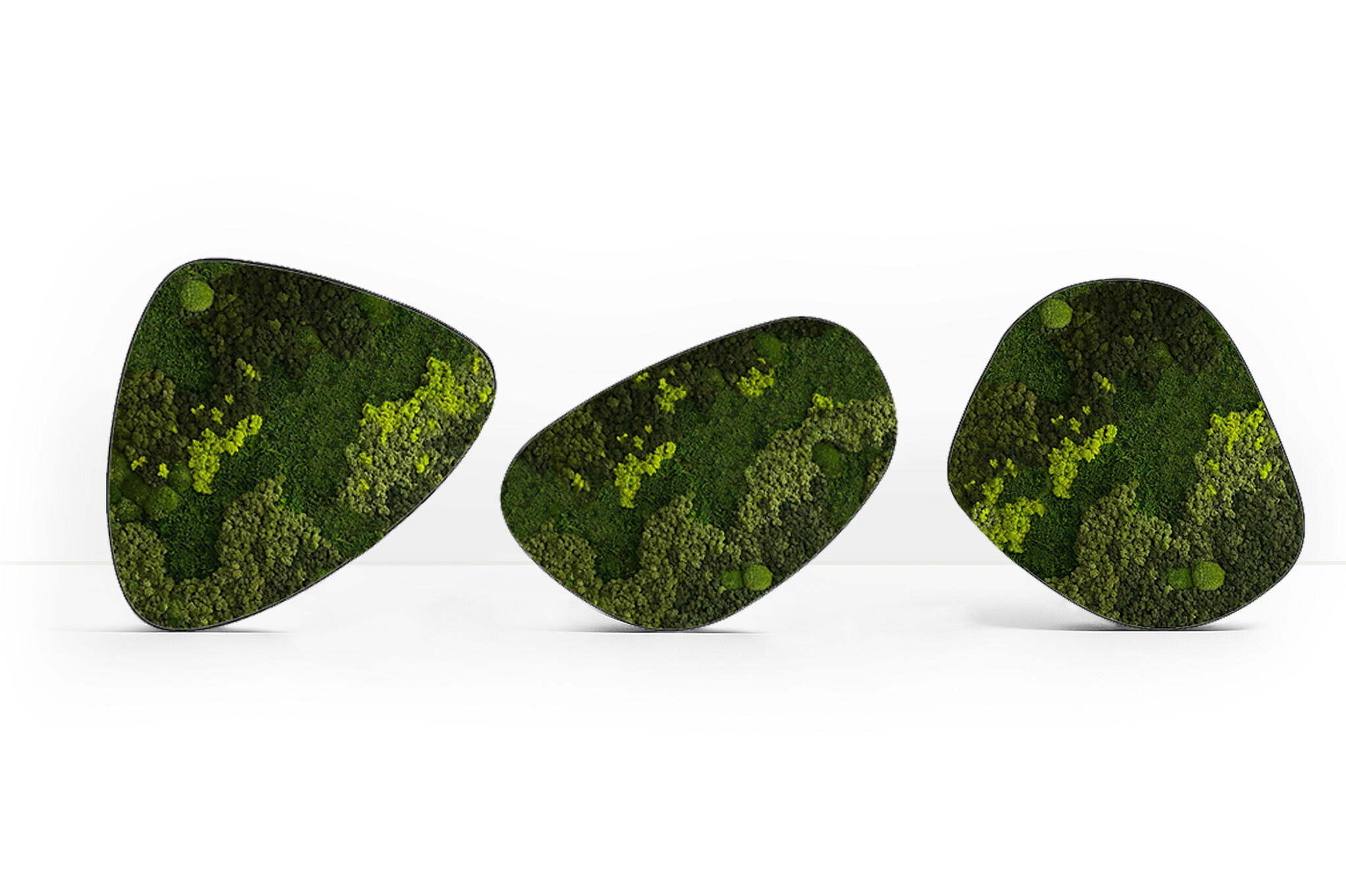 Moosdots-Set Moosbild 