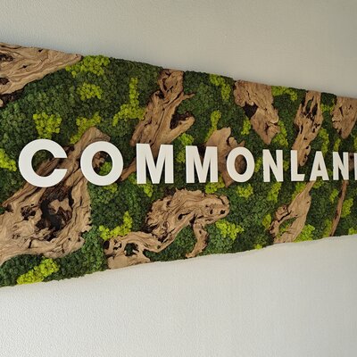 Riecht eine Mooswand?