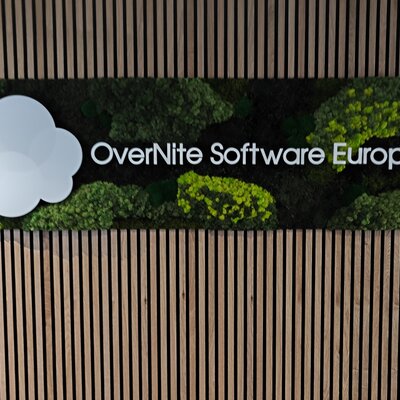 Pflegefreie Mooswände: Funktional und Stilvoll