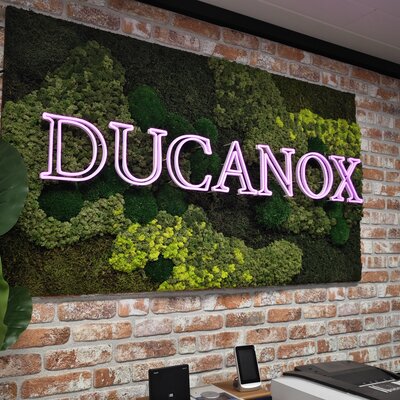 Unser Moos: Was steckt in unseren Moosbildern?