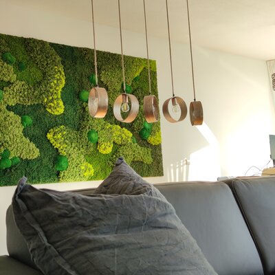 Wie reinigt man eine Mooswand?