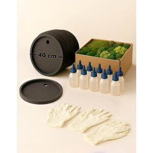 DIY Moosbild Set für 10 Personen – Rund 40 cm – Moosmix