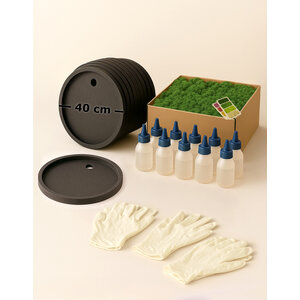 DIY Moosbild Set für 10 Personen – Rund 40 cm – Rentiermoos