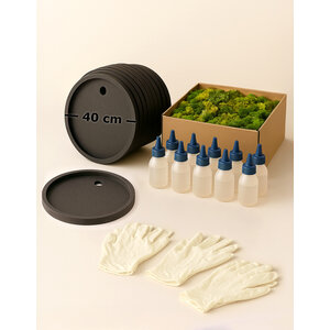 DIY Moosbild Set für 10 Personen – Rund 40 cm – ECO moos