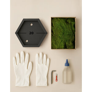 DIY Mosbild Hexagon 20 cm Flachmoos
