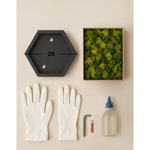 DIY Mosbild Hexagon 20 cm ECO moos