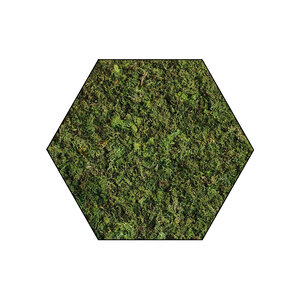 Sechseckiges Moosbild ECO Forest