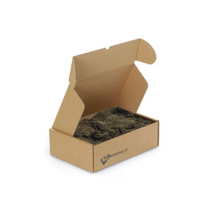 Flachmoos Box M pine 0,20 m²