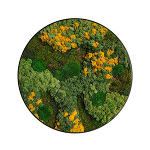 Rundes Moosbild Gobi