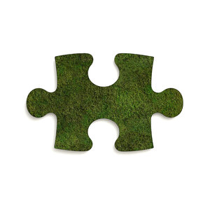 Puzzle Moosbild Plana Lucem