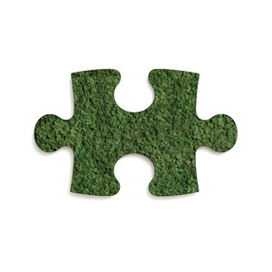 Puzzle Moosbild Forest