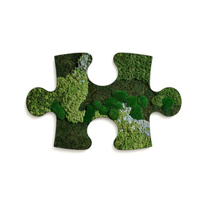 Puzzle Moosbild Skye