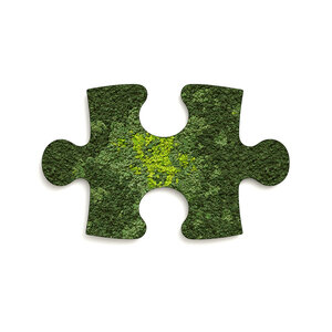 Puzzle Moosbild Splash