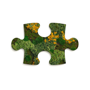 Puzzle Moosbild Gobi