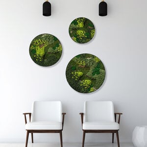 Rundes moosbild Set Kaiju