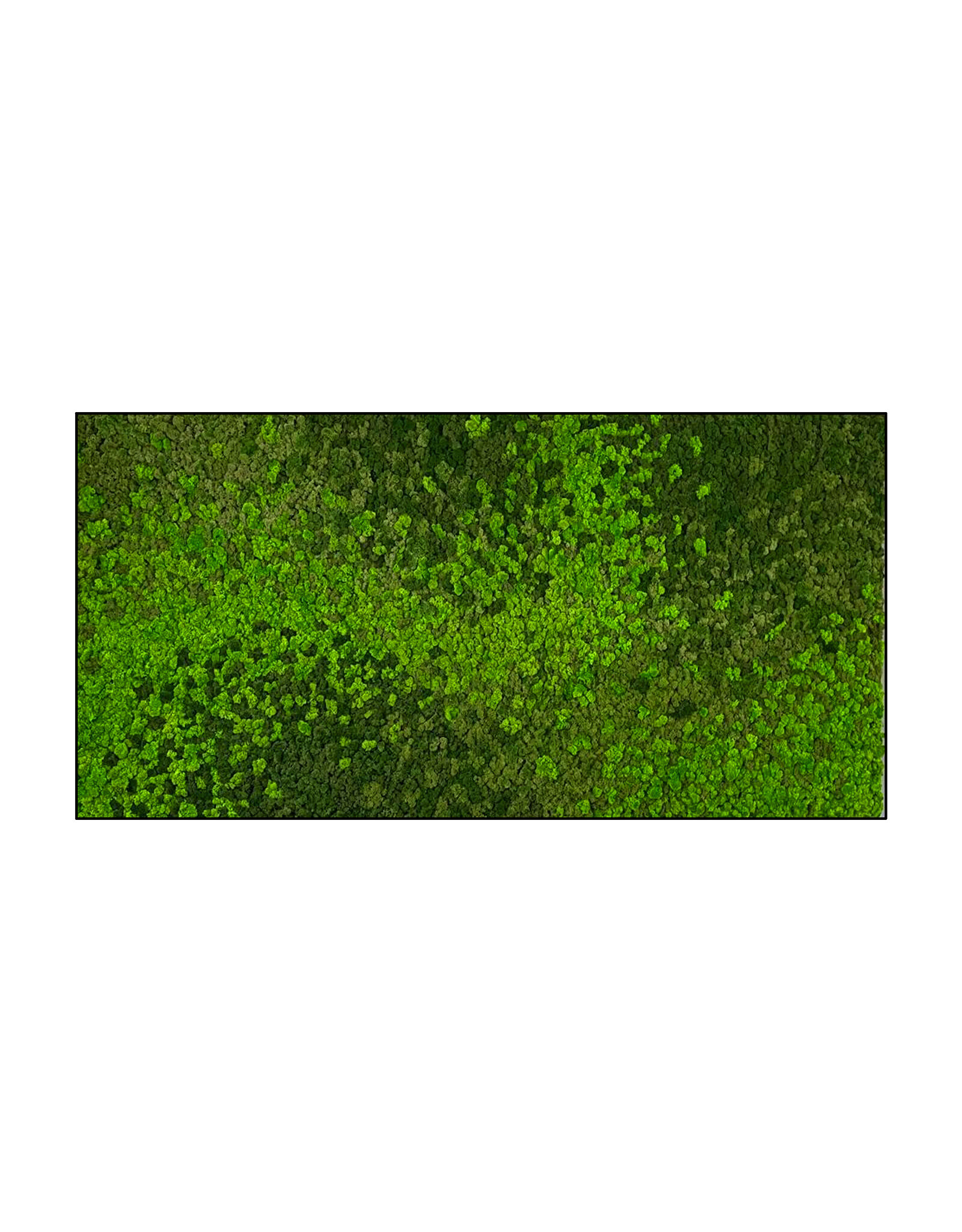 Moswens Rechteckiges Moosbild Loran