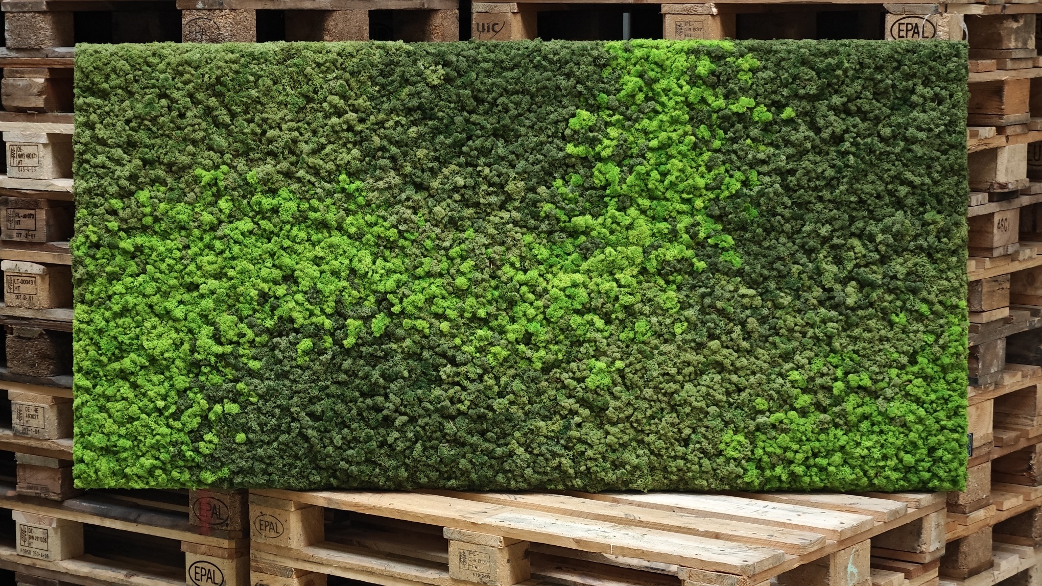 Moswens Rechteckiges Moosbild Loran