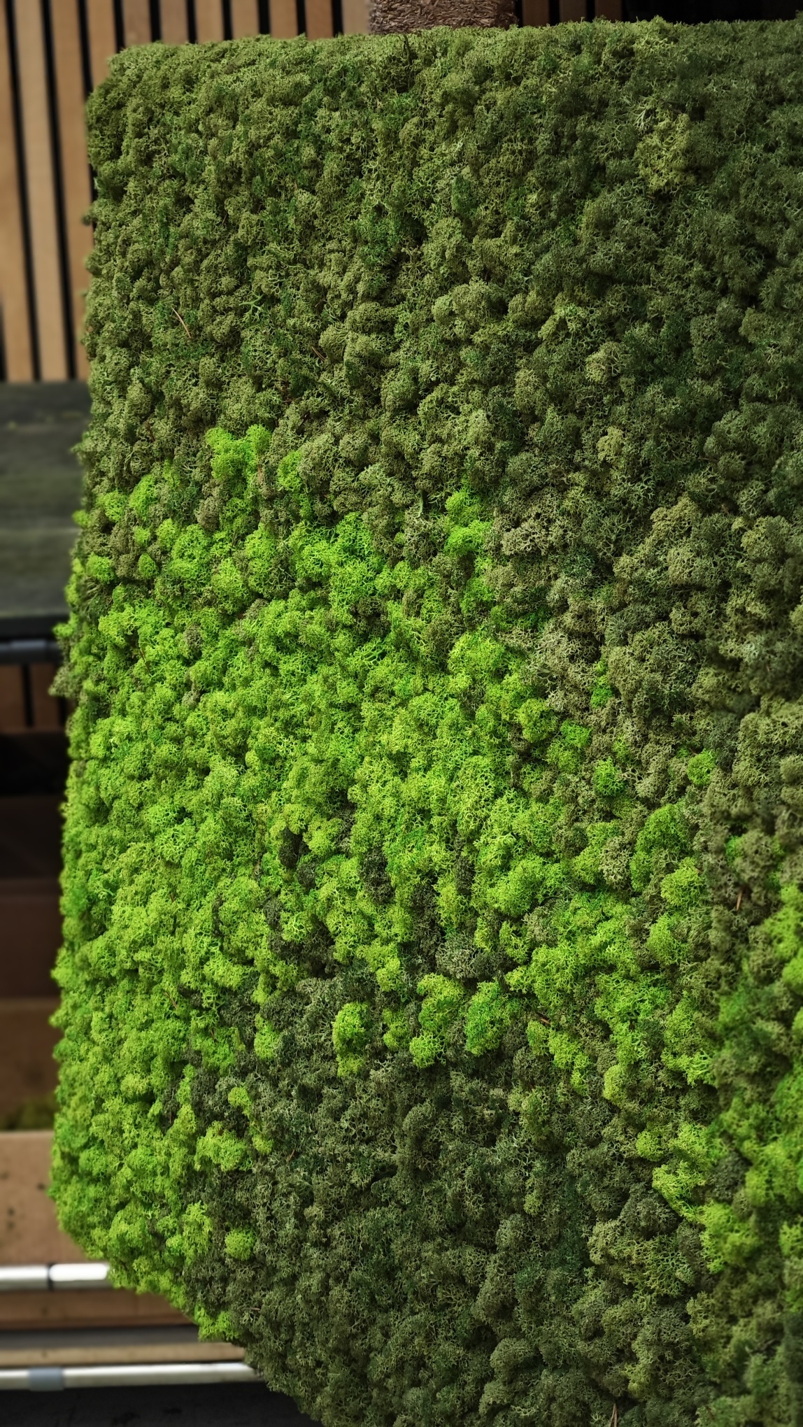 Moswens Rechteckiges Moosbild Loran