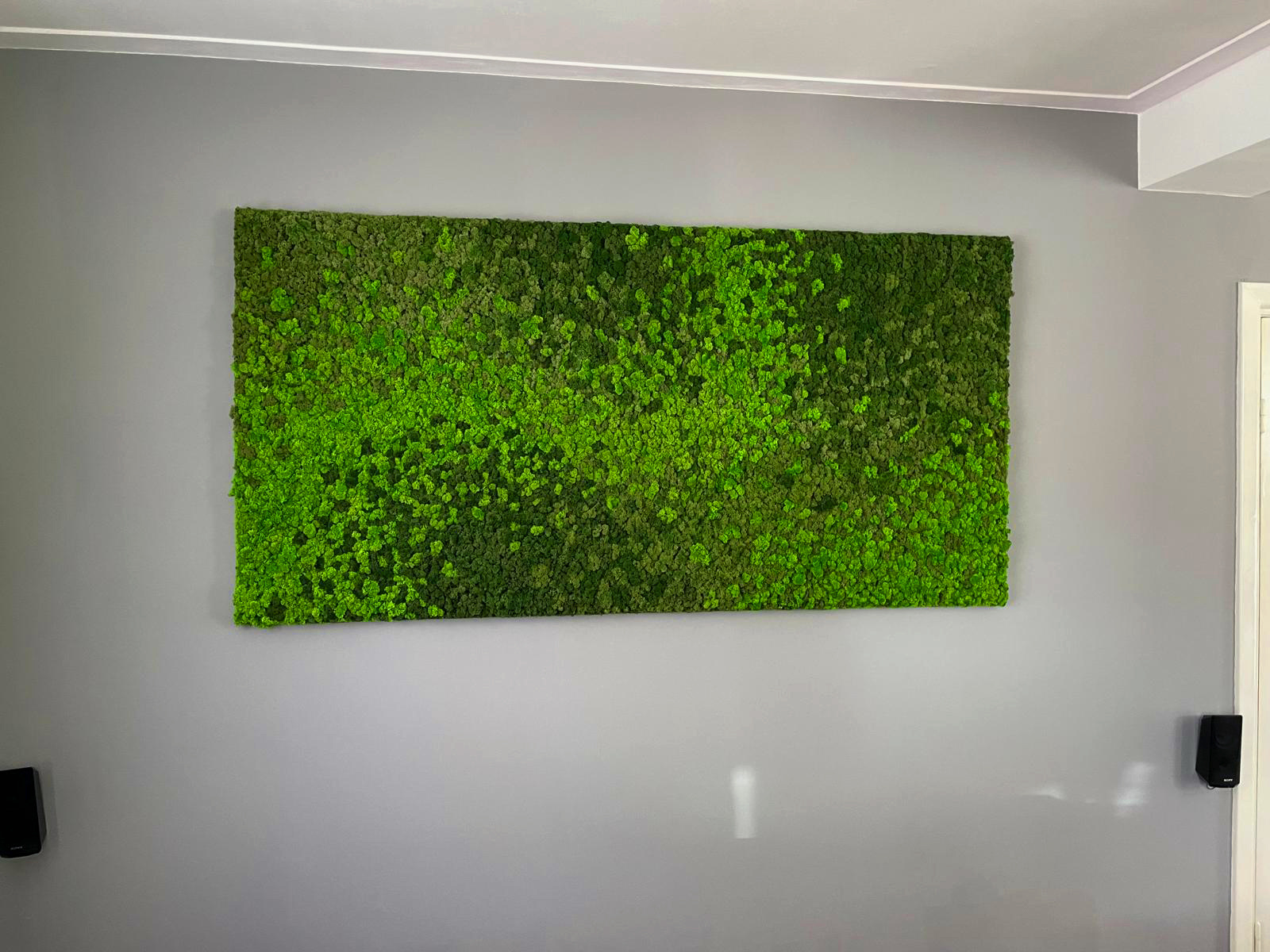 Moswens Rechteckiges Moosbild Loran